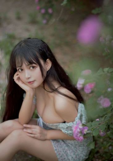 间谍过家家第三季免费观看