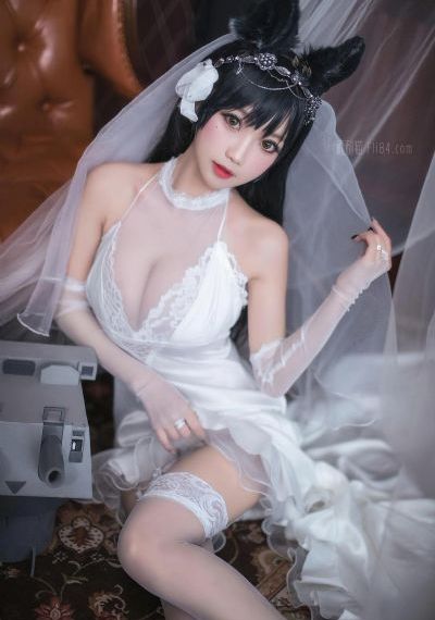 珠帘玉幕电视剧免费观看