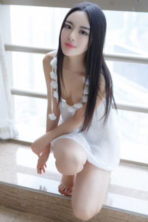 电视剧雪豹免费观看完整版