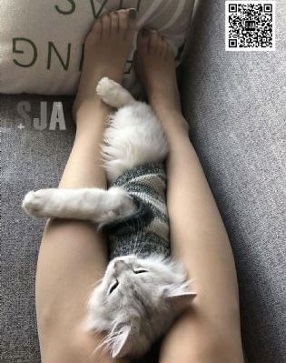 我善良的新妈妈在线观看