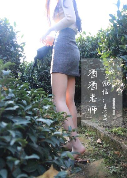 芝麻胡同连续剧免费播放在线观看