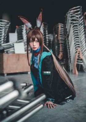女律师的坠落