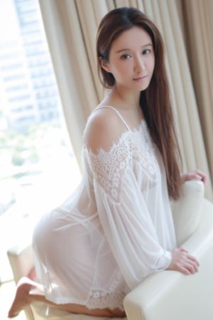 陈真电视剧20集免费观看
