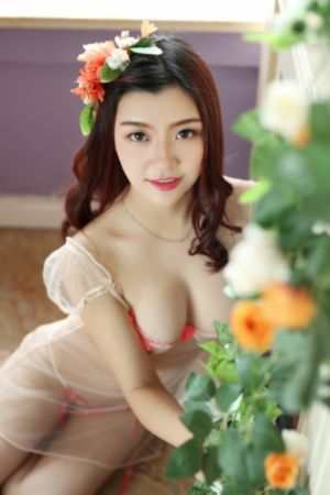 布衣天子 电视剧免费观看