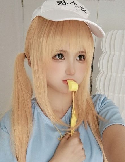 狸猫换太子电视剧