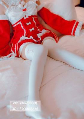 九重紫电视剧一共多少集