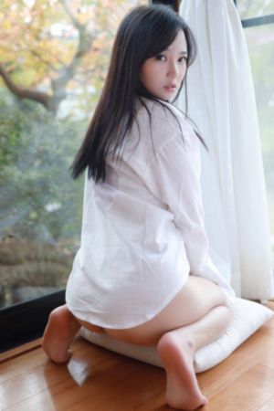 屋顶的大象