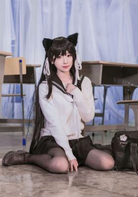 终极斗士5免费 在线观看