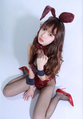 威力狗1到25集免费观看