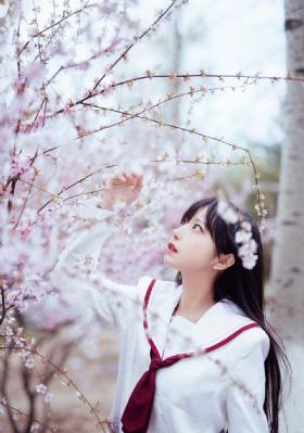 月光宝盒私人免费影院